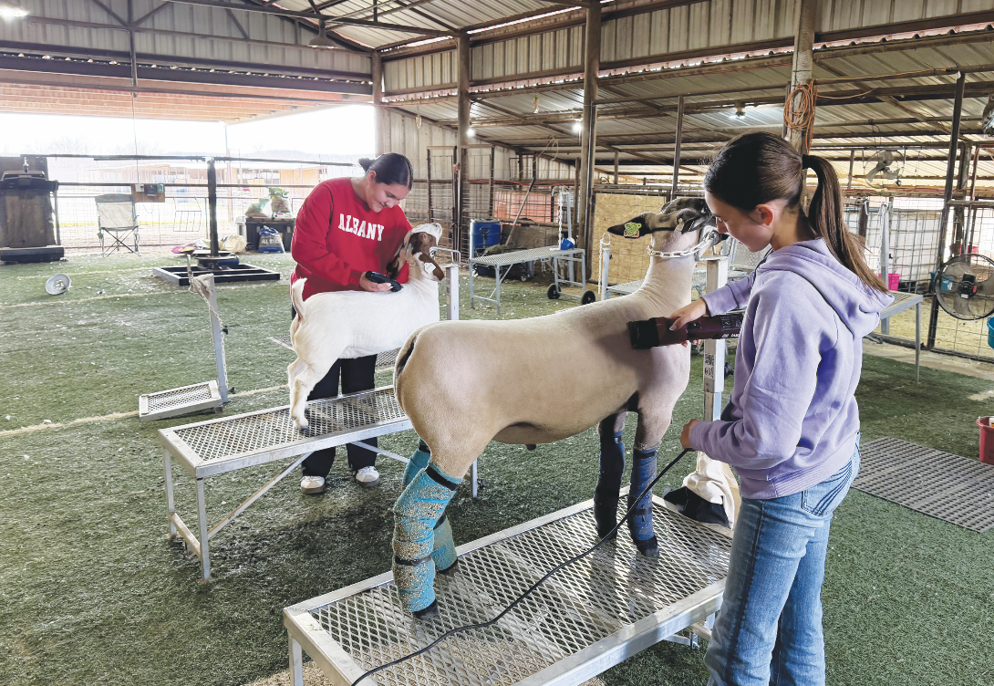 Shackelford County stock show set for this weekend