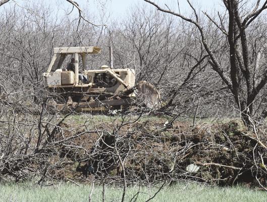 City starts work clearing 42 acres