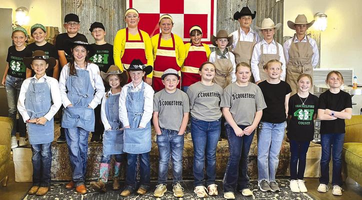 Horse IQ competitors place well