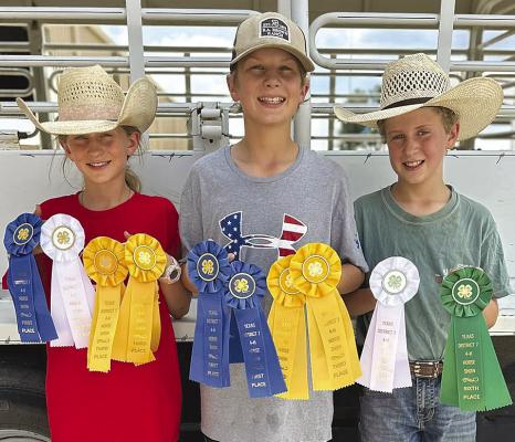 4-Hers place at district horse, photo competitions