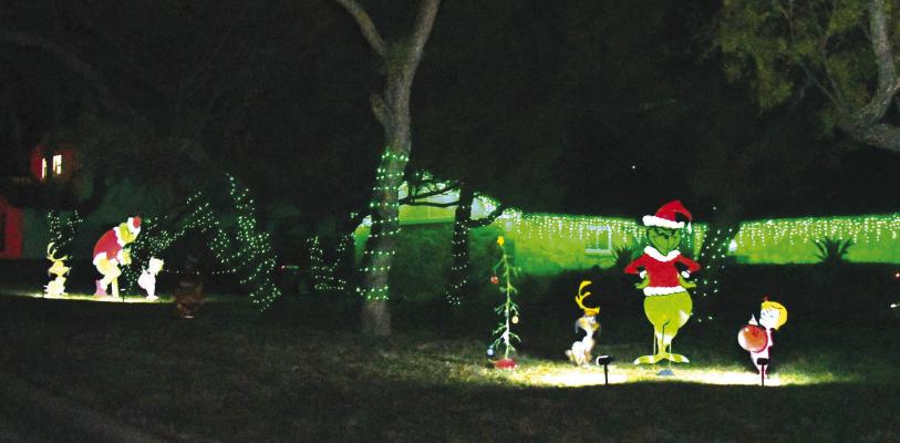 3 local lighting displays win Albany Bucks