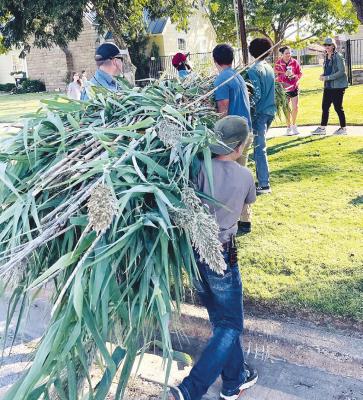 Participants and volunteers unload cane used to build a “sukkah” recently as part of a special Bible study of the Jewish feasts. The students also camped out overnight in the church courtyard as a part of the project. Courtesy Photo