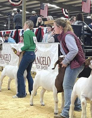 Students exhibit at major shows