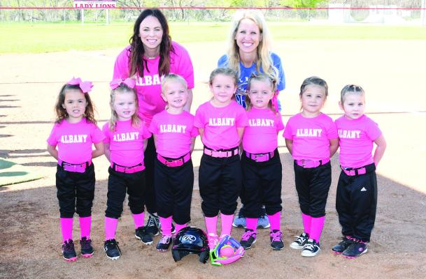 T-BALL PINK – (front, l-r) Gemma Walser, Palmer Parsons, Audrey Reid, Gwendalyn Alexander, Carter Gallagher, Laynie Hilliard, Daphnee Sanchez, (back) Chelsea Parsons, Robbyn Reid