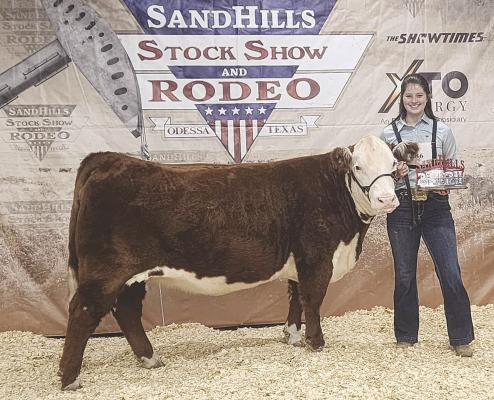 FFA helps with stock show prep
