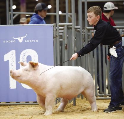 Exhibitors wrap up show season