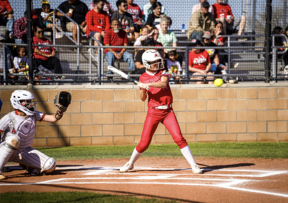Lady Lions drops district game at Anson
