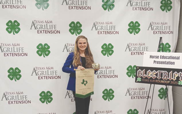 Fry earns state championship in 4-H horse presentation