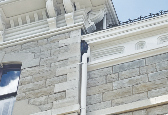 Bee removal, clock tower repairs approved