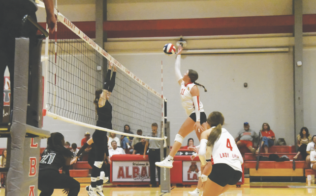 Lady Lions battle through busy week on the court