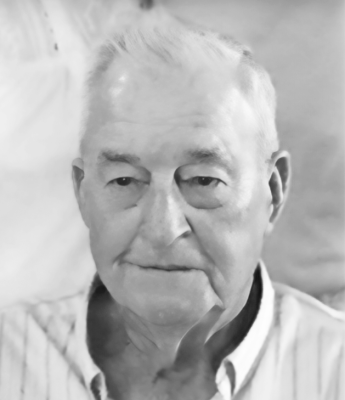 Johnny Ray Holson