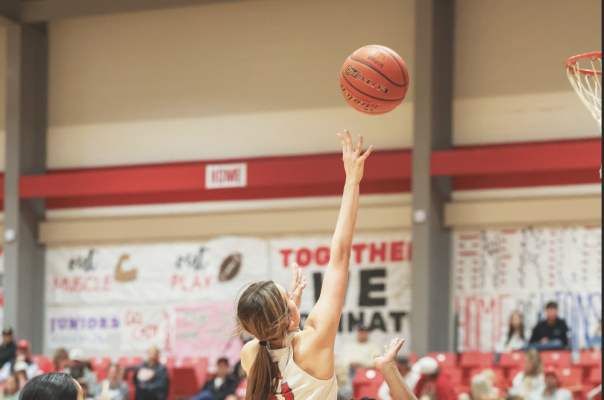 Lady Lions continue district push this week