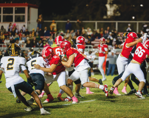 Lions Look to Rebound After Tough Loss