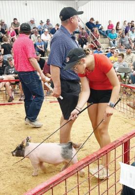 Pig sale total sets new record